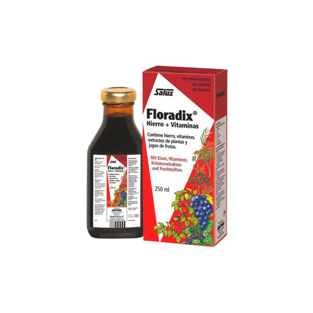 Floradix Hierro 250 ml | Bonsanté